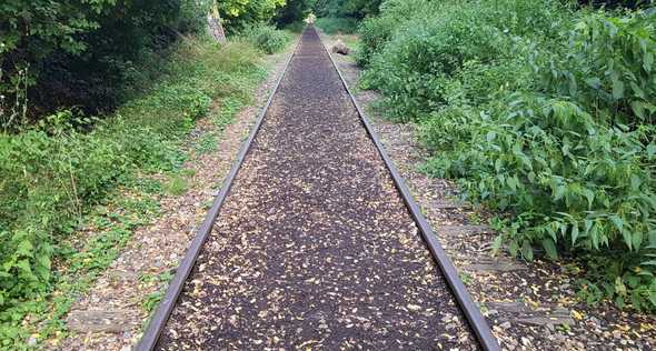 Rails sur la petite ceinture